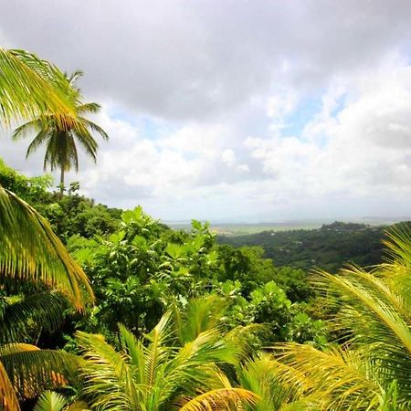 Maison Douce A Riviere-Salee Avec Vue Sur Jardin & Montagne ภายนอก รูปภาพ