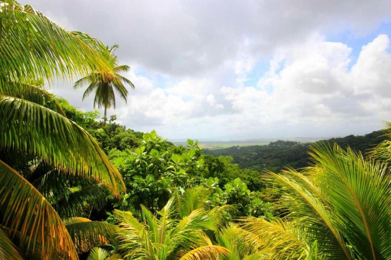 Maison Douce A Riviere-Salee Avec Vue Sur Jardin & Montagne ภายนอก รูปภาพ